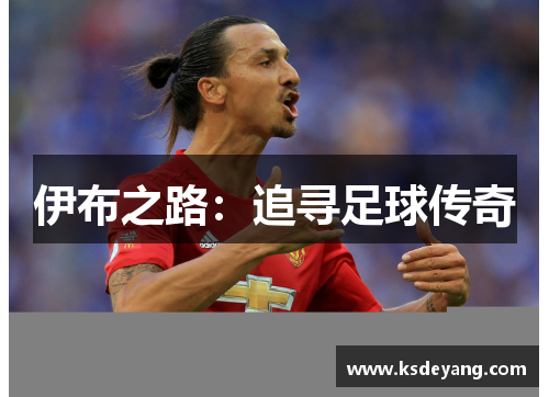 伊布之路：追寻足球传奇